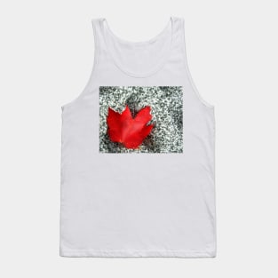 Red Rocks Tank Top